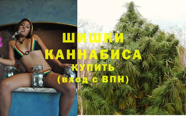 apvp Горно-Алтайск